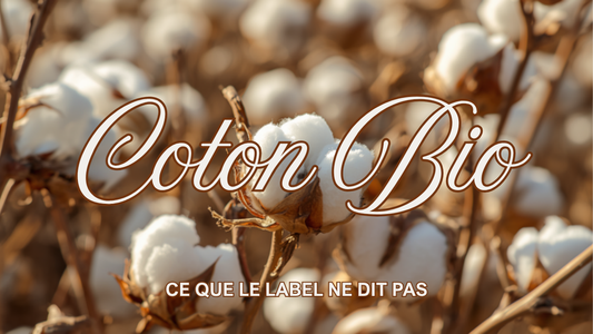 Fibre de coton naturelle en gros plan, illustrant le décryptage du label coton bio écologique
